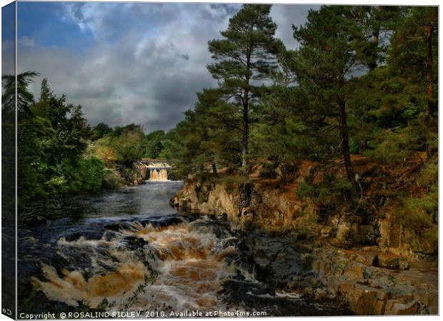 "Dramatic light at Low Force waterfalls" Canvas Print by ROS RIDLEY