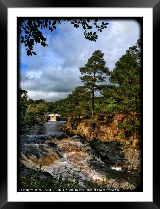 "Portrait of Low Force Waterfalls" Framed Mounted Print by ROS RIDLEY