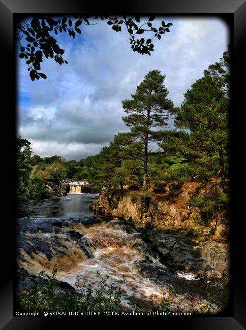 "Portrait of Low Force Waterfalls" Framed Print by ROS RIDLEY