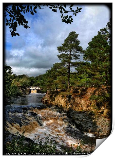 "Portrait of Low Force Waterfalls" Print by ROS RIDLEY