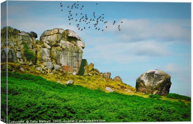 Enigmatic Rocks: The Cow and Calf Canvas Print by Colin Metcalf