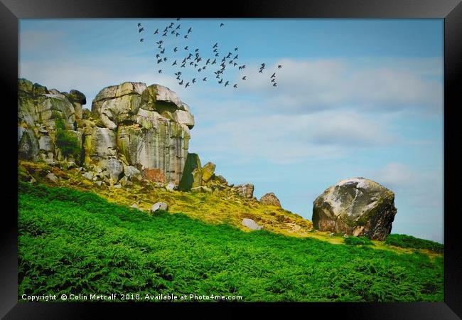 Enigmatic Rocks: The Cow and Calf Framed Print by Colin Metcalf