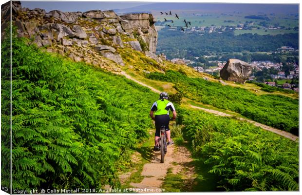 Thrilling Descent: Mountain Biking at Ilkley Moor Canvas Print by Colin Metcalf