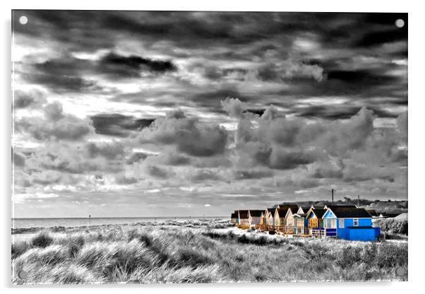 Hengistbury Head beach huts Dorset Acrylic by Andy Evans Photos