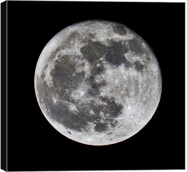Full Moon Canvas Print by Mike Gorton