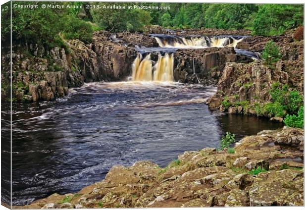 Low Force Waterfall, Bowlees, Teesdale Canvas Print by Martyn Arnold