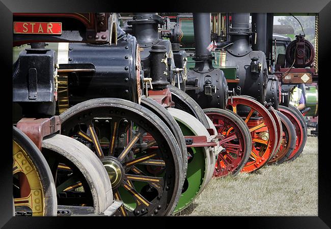 Traction engine line up Framed Print by Tony Bates