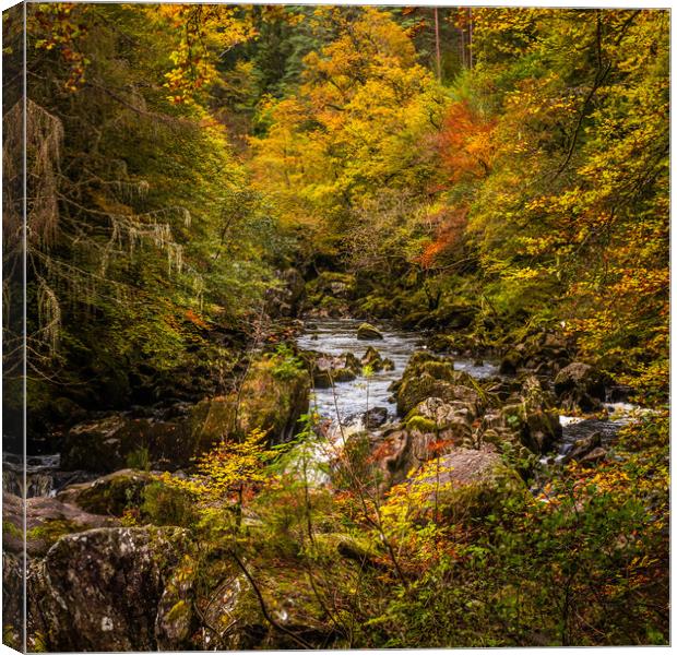Autumn at the Hermitage Canvas Print by George Robertson