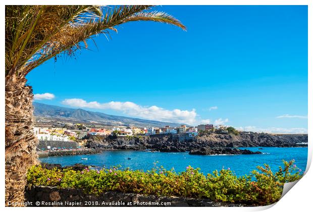 Landscape view of Alcala Tenerife Print by Rosaline Napier