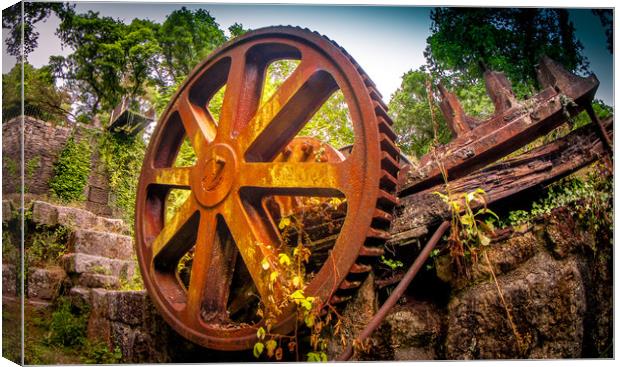 Luxulyan Valley Water Wheel ruins (2) Canvas Print by Mike Lanning