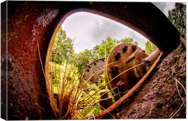 Luxulyan Valley Water Wheel ruins (3) Canvas Print by Mike Lanning