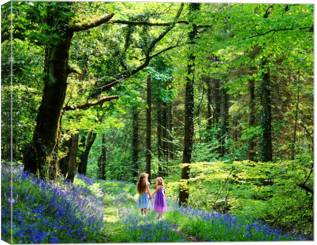 Little girls in Bluebell wood Canvas Print by Maggie McCall