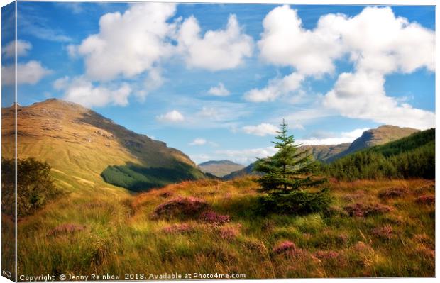 Mountain Pastoral. Rest and Be Thankful. Scotland Canvas Print by Jenny Rainbow