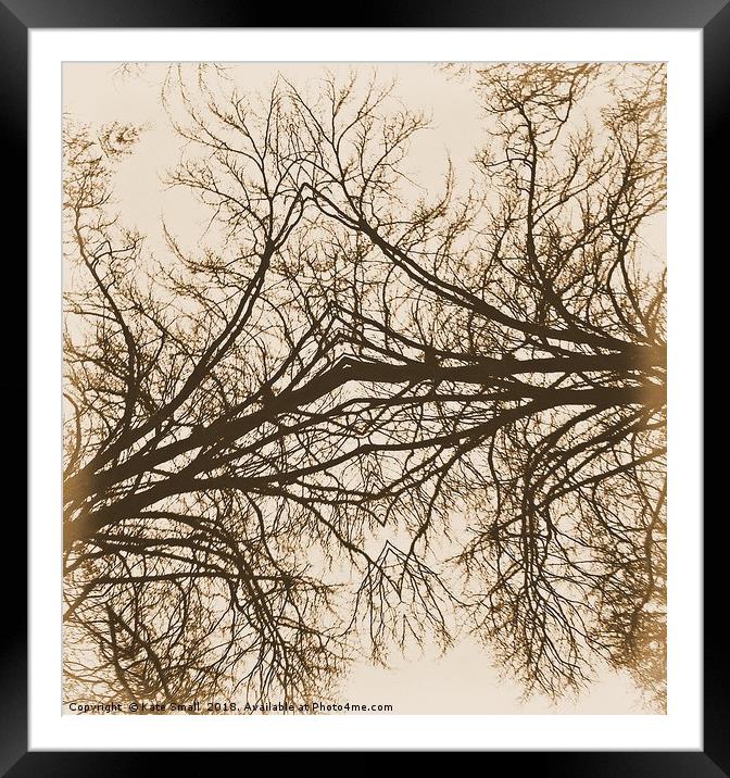 Forever Intertwined Framed Mounted Print by Kate Small