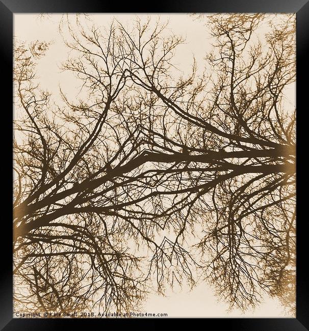 Forever Intertwined Framed Print by Kate Small
