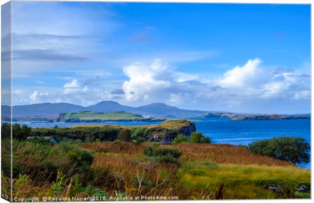 Isle of Skye bay Fiscavaig Canvas Print by Rosaline Napier