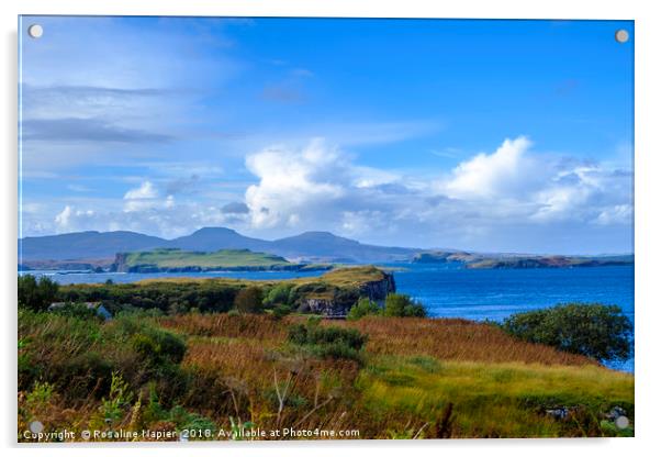 Isle of Skye bay Fiscavaig Acrylic by Rosaline Napier