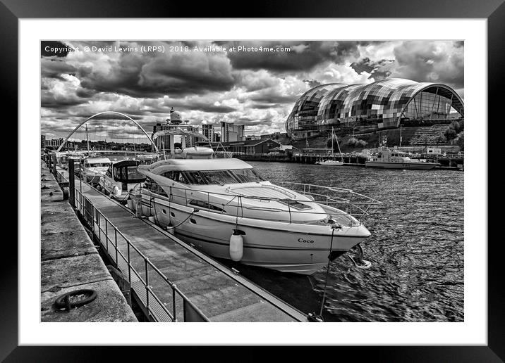 Coco on the Tyne Framed Mounted Print by David Lewins (LRPS)