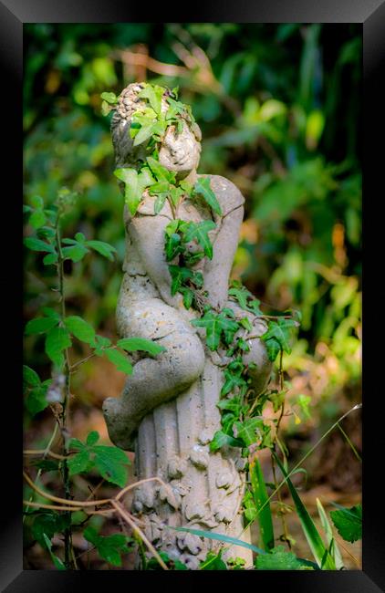Garden Statue Framed Print by Mike Lanning