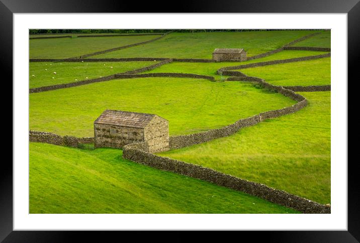 Swaledale Barns and stone walls Framed Mounted Print by George Robertson