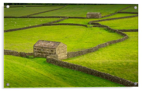 Swaledale Barns and stone walls Acrylic by George Robertson