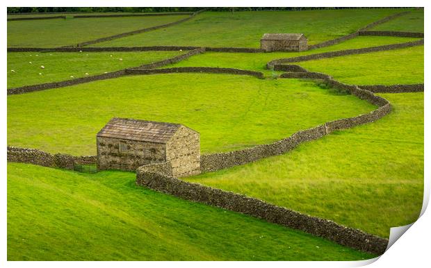 Swaledale Barns and stone walls Print by George Robertson