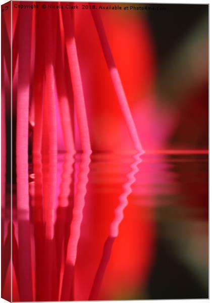 Fuchsia Pink Canvas Print by Nicola Clark