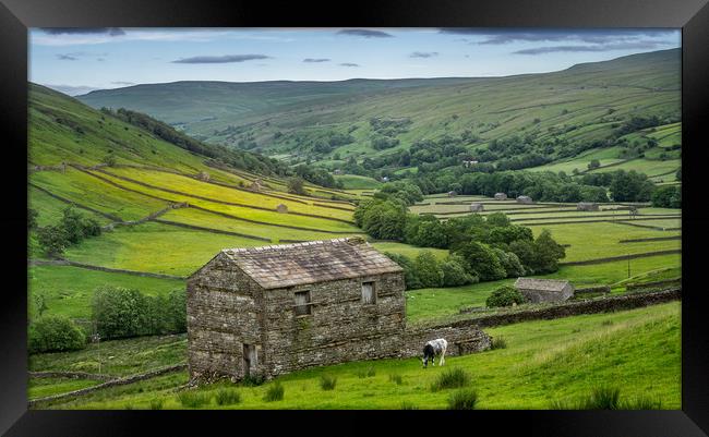 The old barns in Swaledale Framed Print by George Robertson