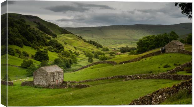 The old barns in Swaledale Canvas Print by George Robertson