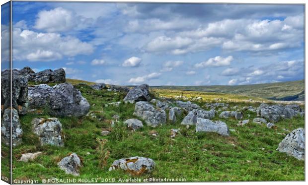 "Rocks , Moorland and Sky" Canvas Print by ROS RIDLEY