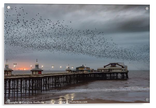 North Pier Starlings  Acrylic by Caroline James