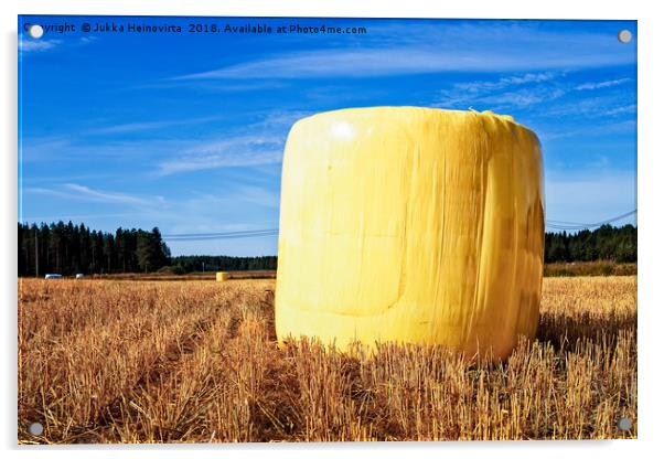 Yellow Hay Bale On The Fields Acrylic by Jukka Heinovirta