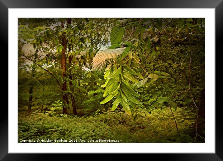 Spring Green Framed Mounted Print by Heather Goodwin