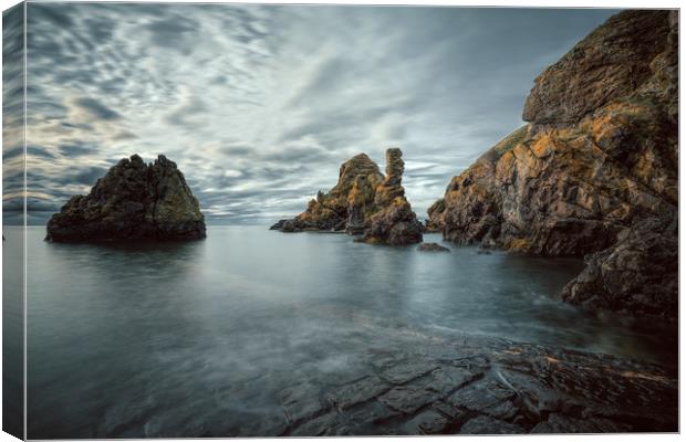 Pettico Wick Bay, St Abbs Head Canvas Print by Miles Gray