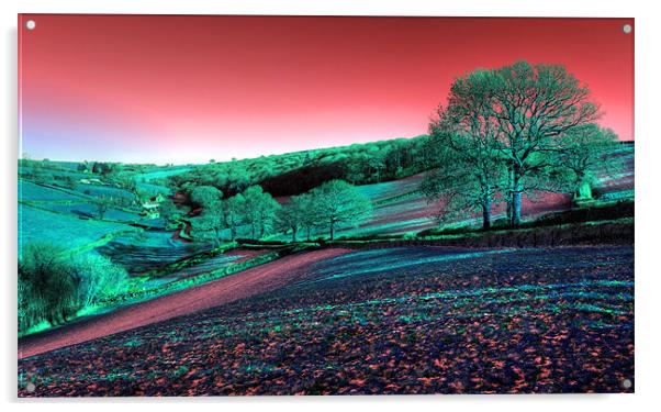 Exmoor in the Pink Acrylic by Rob Hawkins