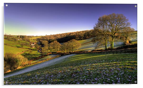An Exmoor valley Acrylic by Rob Hawkins