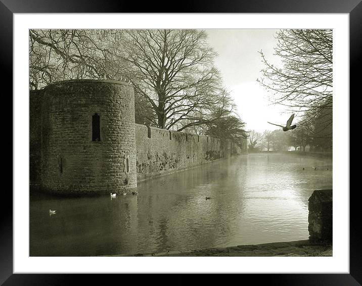 Palace on the Water Framed Mounted Print by Susie Hawkins