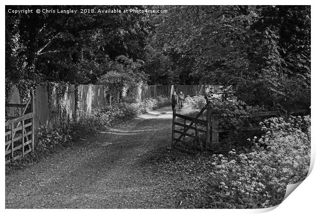 Enjoying a rural walk at Swyncombe, Oxfordshire Print by Chris Langley