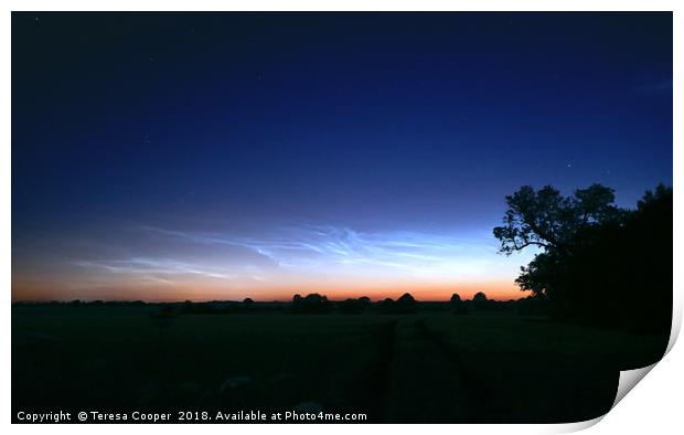 Noctilucent clouds glow over open fields  Print by Teresa Cooper