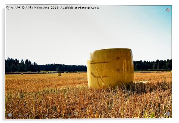 Yellow Straw Bales Acrylic by Jukka Heinovirta