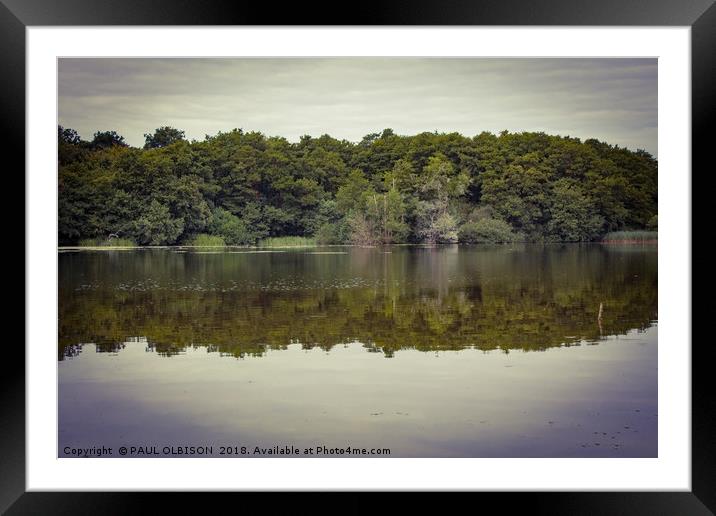 Reflections Framed Mounted Print by PAUL OLBISON