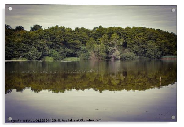 Reflections Acrylic by PAUL OLBISON