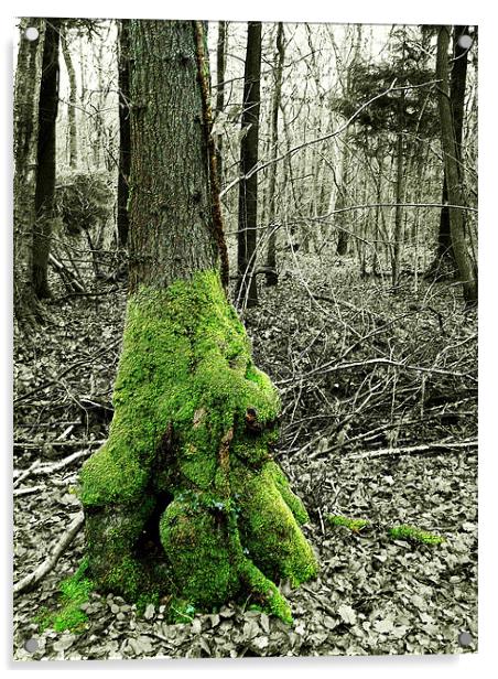 Tree and Moss Acrylic by Susie Hawkins
