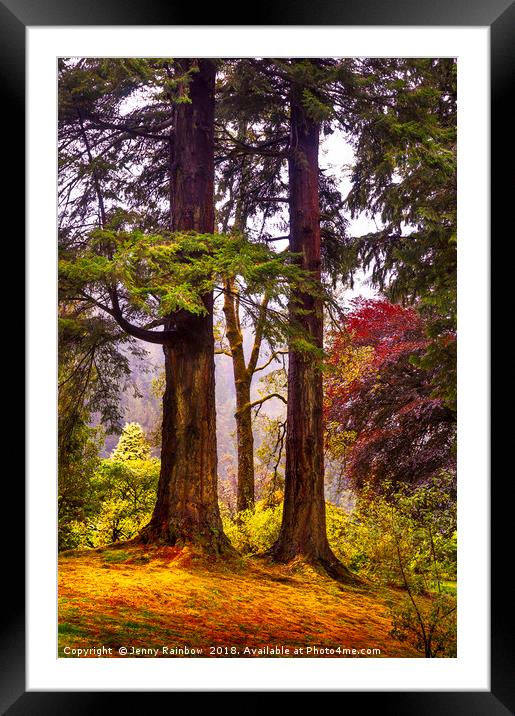 Trees In Autumn Glory. Scotland Framed Mounted Print by Jenny Rainbow