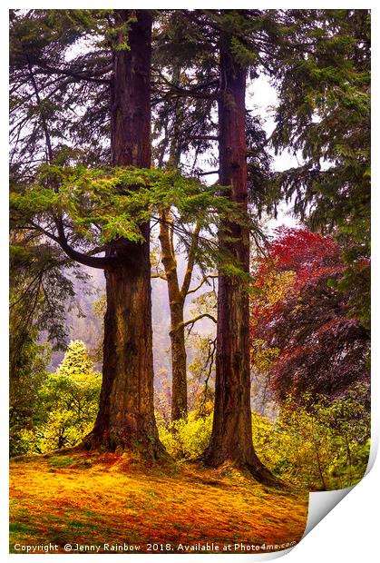Trees In Autumn Glory. Scotland Print by Jenny Rainbow