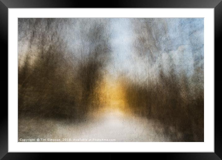 There is a light Framed Mounted Print by Tim Simpson