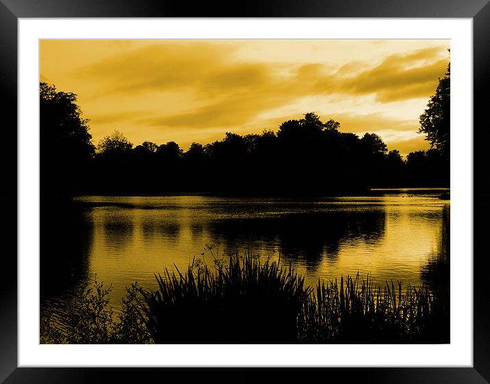 Reflections in Orange Framed Mounted Print by Samantha Higgs