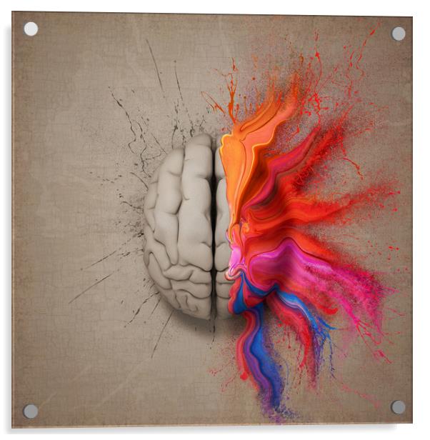 The Creative Brain Acrylic by Johan Swanepoel