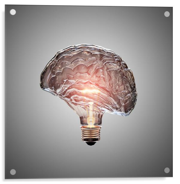 Light Bulb Brain Acrylic by Johan Swanepoel