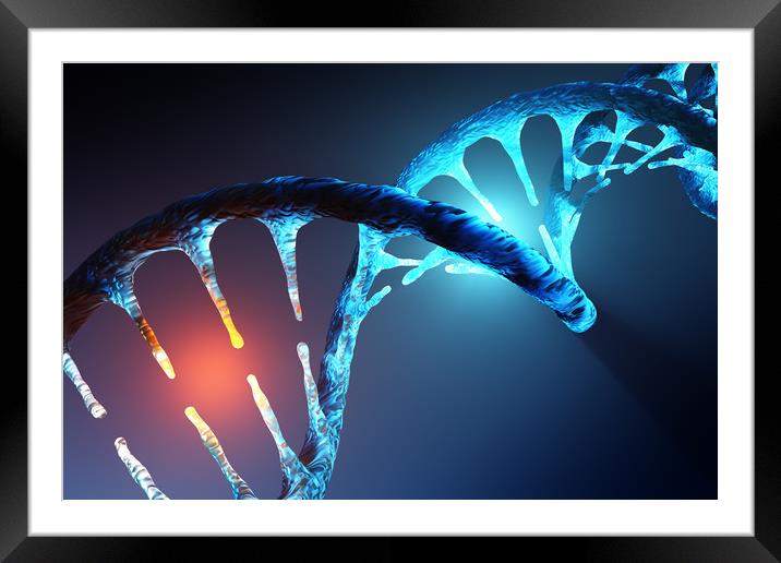 DNA strand Framed Mounted Print by Johan Swanepoel
